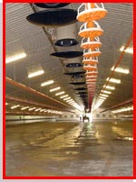 Poultry Shed